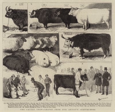 La exposición de ganado, hojas del cuaderno de bocetos de nuestro artista de Alfred Chantrey Corbould